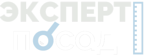 строительная эспертиза и технический надзор ЭКСПЕРТ-ПОСАД